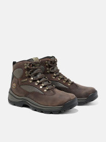Ботинки и сапоги Timberland CHOCORUA GTX модель TB115631242 Фото