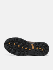 Ботинки и сапоги Timberland CHOCORUA GTX модель TB115631242 Фото