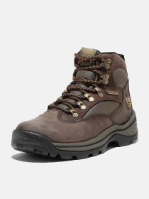 Ботинки и сапоги Timberland CHOCORUA GTX модель TB115631242 Фото