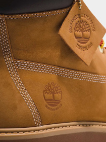 Черевики та чоботи Timberland STONE STREET WATERPROOF модель TB1A5RJD231 Фото