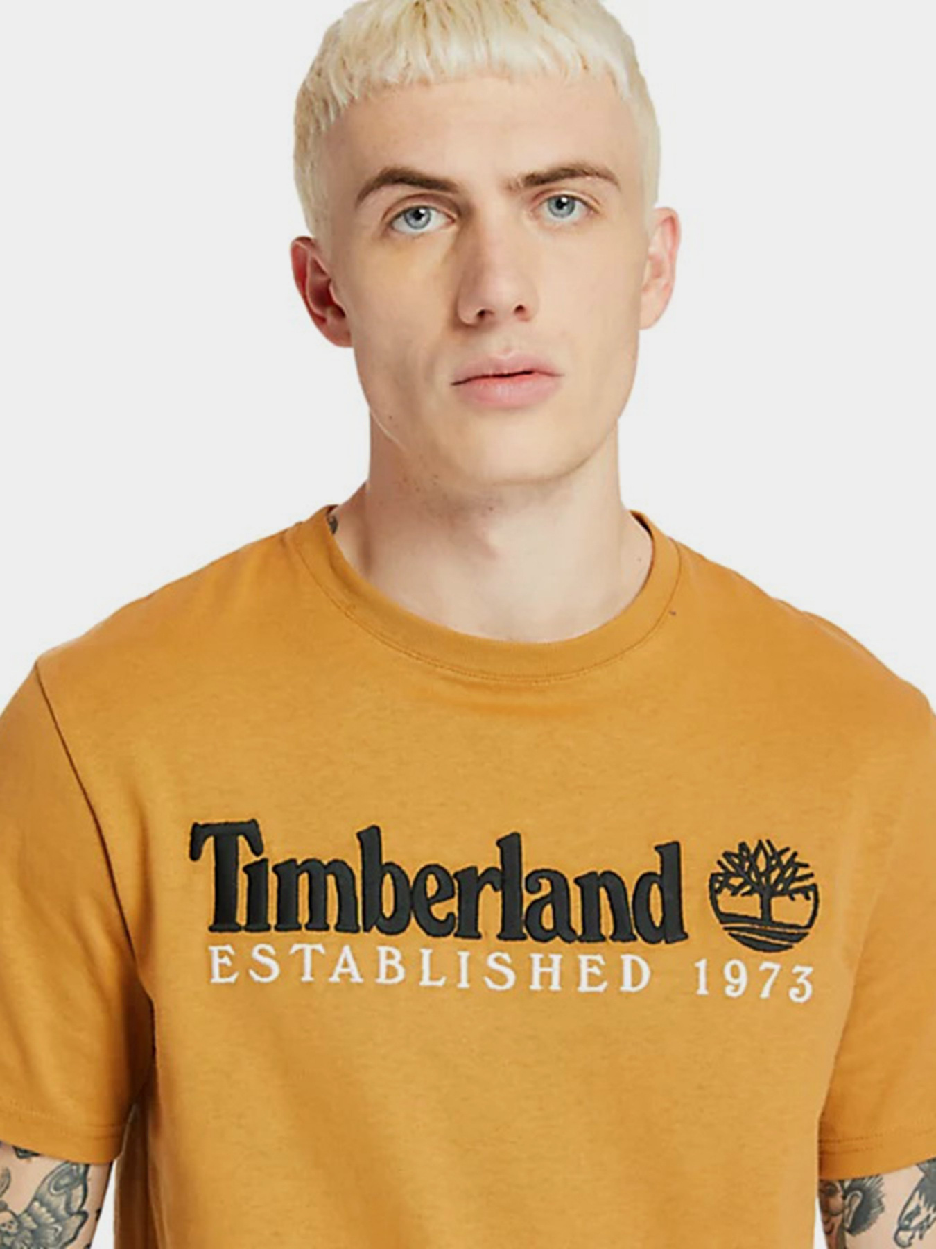 Футболки і поло Timberland Outdoor Est.1973 Linear Logo модель TB0A2CMAP47 Фото