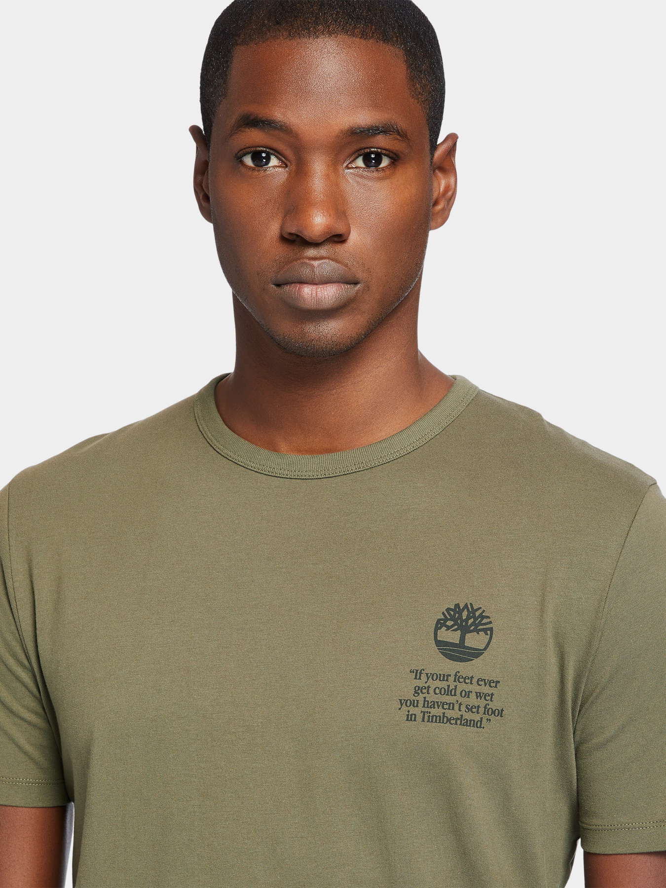 Футболки і поло Timberland Archive-Print Tee модель TB0A2E6EA58 Фото