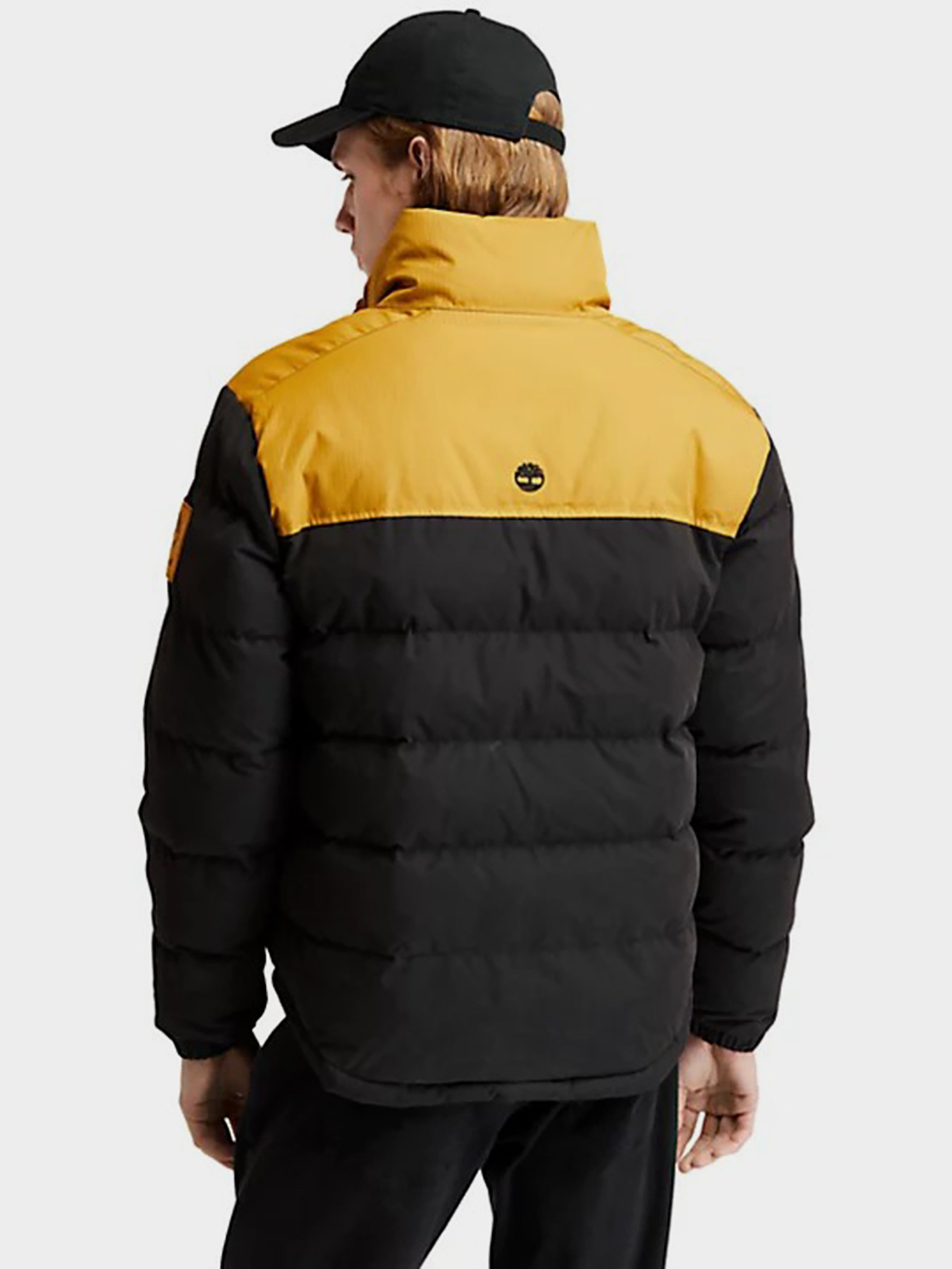 Куртки та дублянки Timberland Welch Mountain модель TB0A22XBP57 Фото