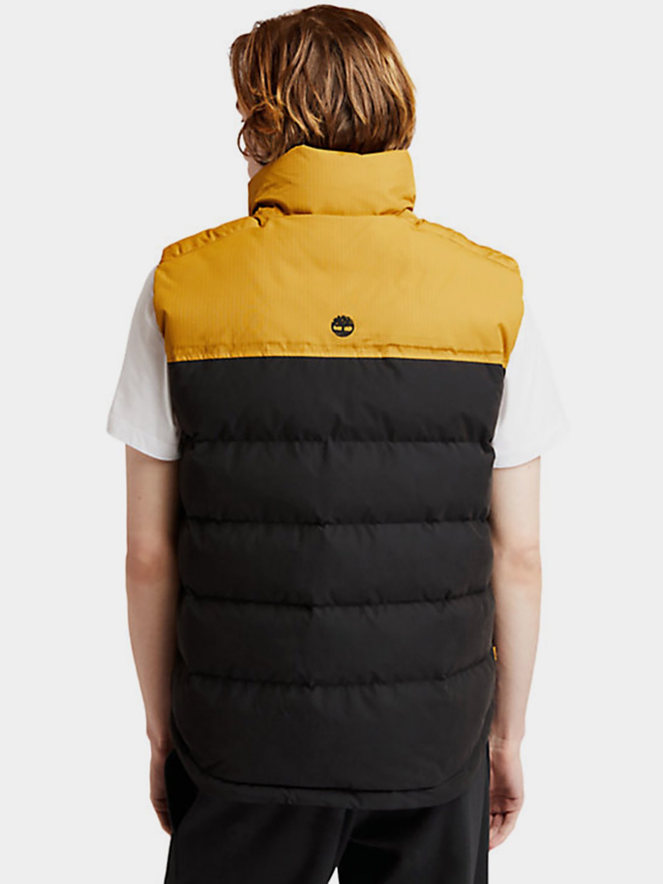 Куртки и дубленки Timberland Welch Mountain Puffer Vest модель TB0A22XMP57 Фото