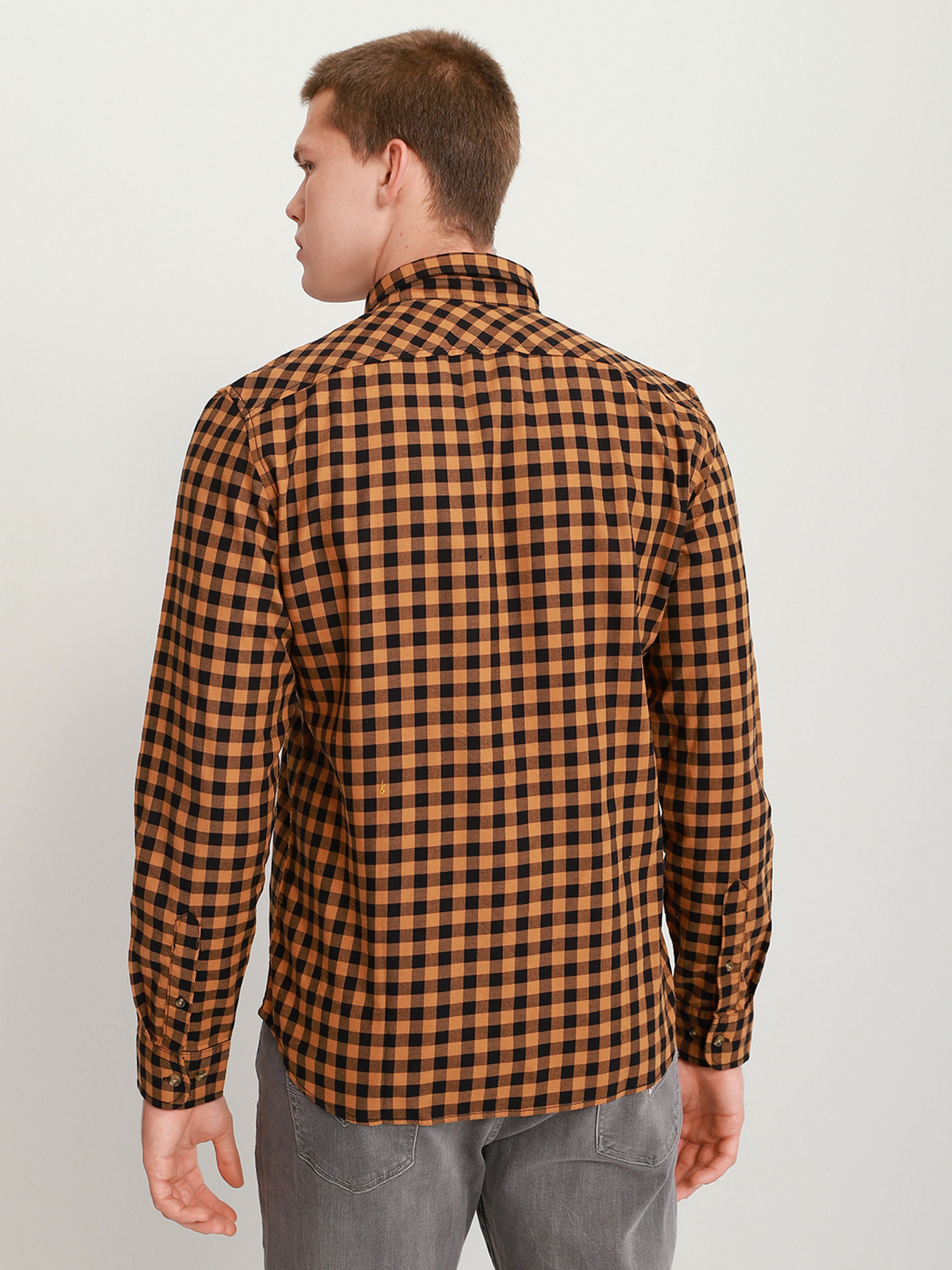 Рубашки Timberland Back River Brushed-Cotton Check модель TB0A2BJVP50 Фото
