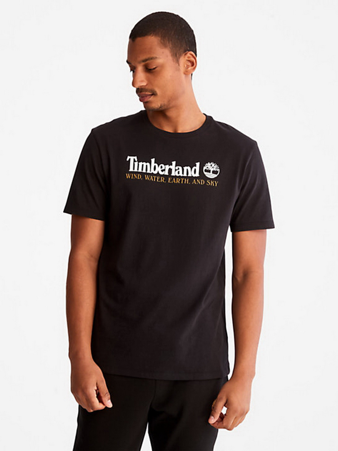 Футболки і поло Timberland Front Graphic модель TB0A27J8001 Футболки і поло Timberland Front Graphic модель TB0A27J8001 Фото