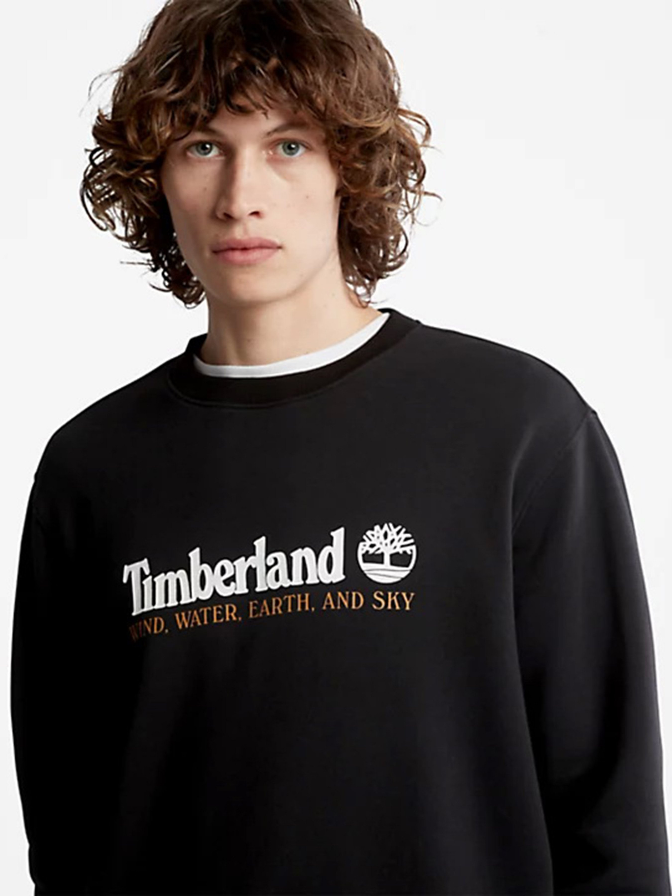 Худі та світшоти Timberland Wind, Water, Earth and Sky™ модель TB0A27HC001 Худі та світшоти Timberland Wind, Water, Earth and Sky™ модель TB0A27HC001 Фото
