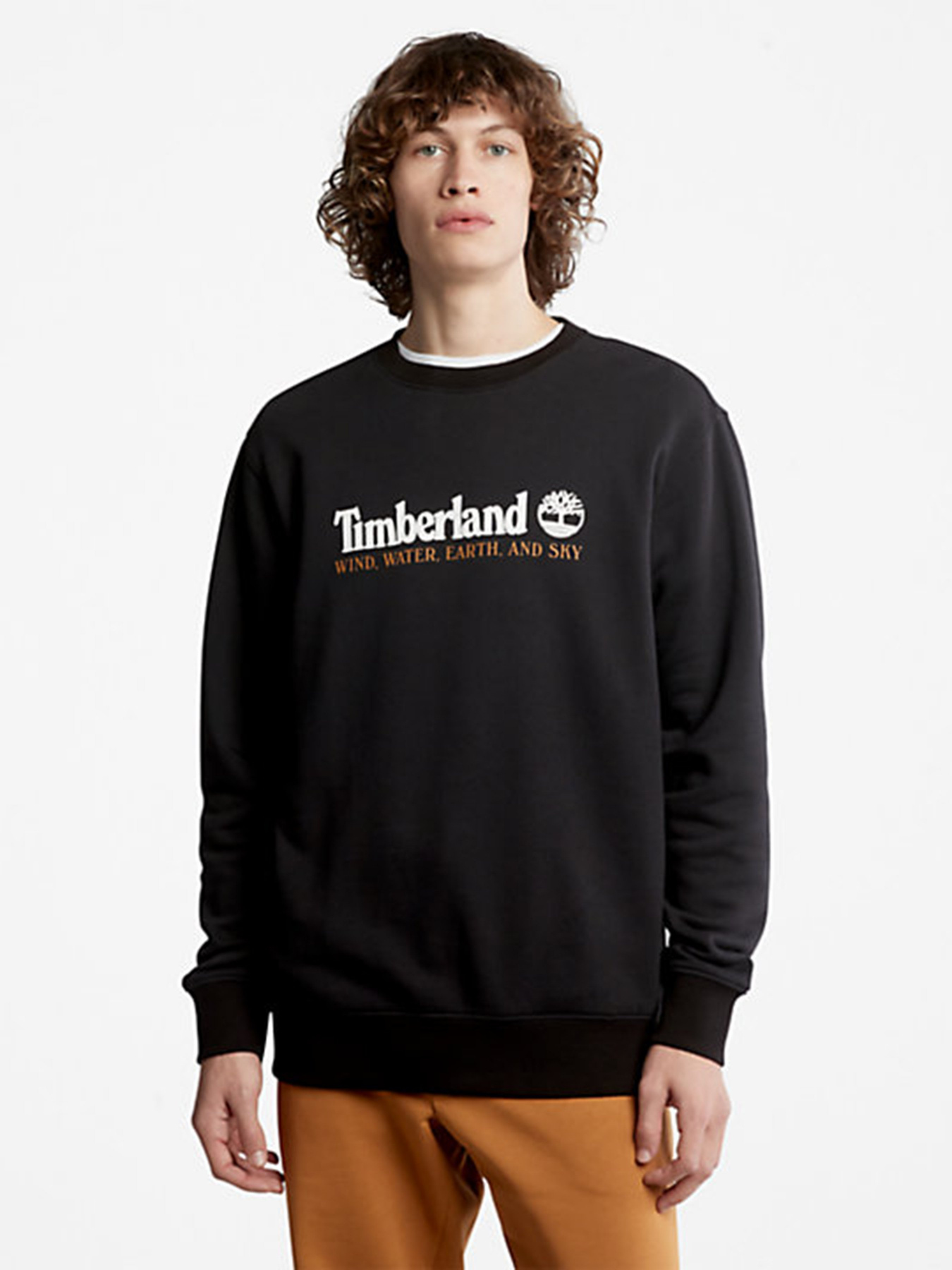 Худі та світшоти Timberland Wind, Water, Earth and Sky™ модель TB0A27HC001 Худі та світшоти Timberland Wind, Water, Earth and Sky™ модель TB0A27HC001 Фото