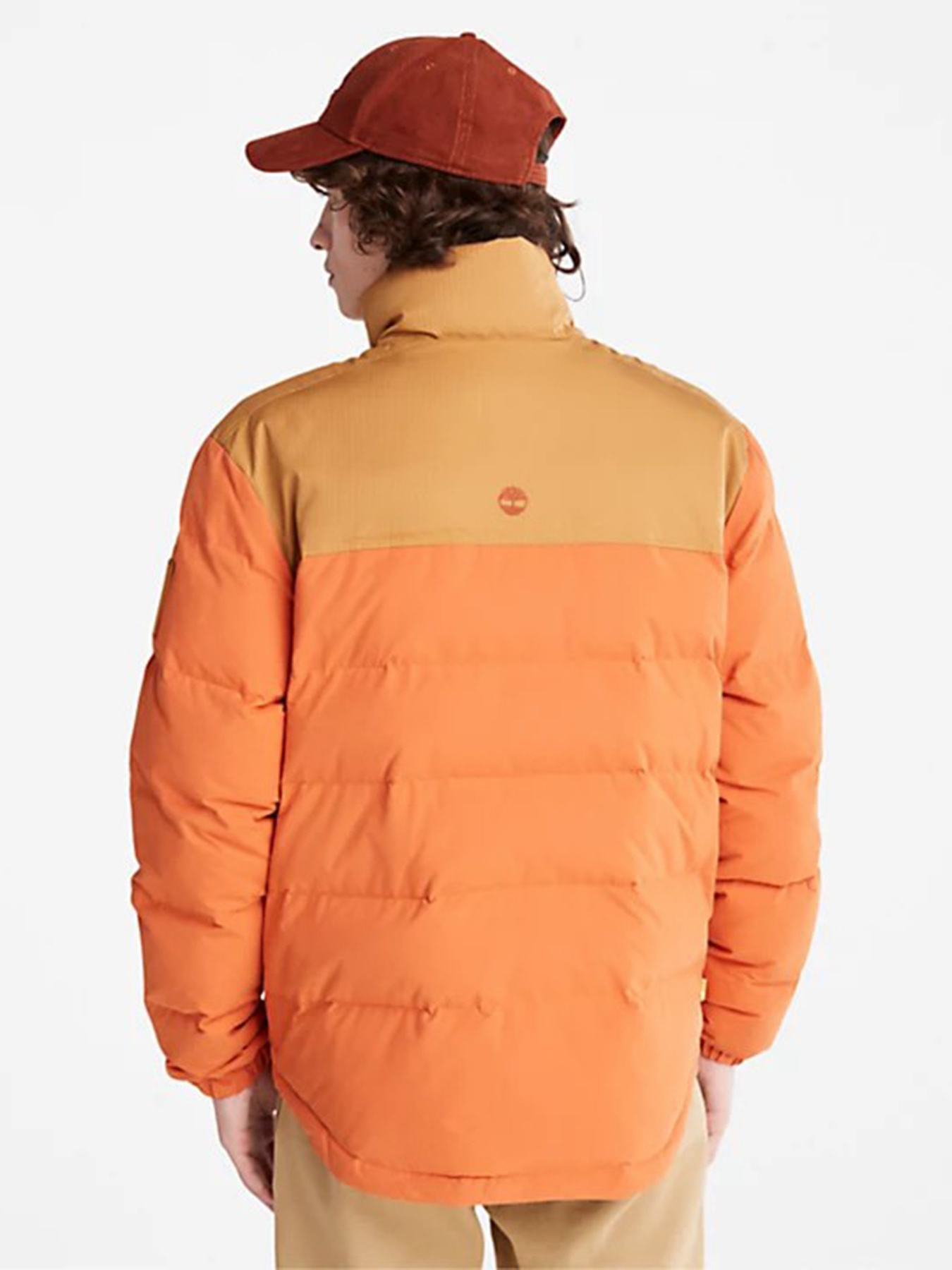 Куртки та дублянки Timberland Acolchoado Welch Mountain модель TB0A22XBDA1 Фото