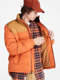 Куртки та дублянки Timberland Acolchoado Welch Mountain модель TB0A22XBDA1 Фото