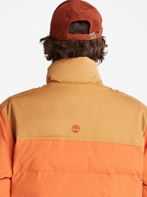 Куртки та дублянки Timberland Acolchoado Welch Mountain модель TB0A22XBDA1 Фото