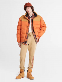 Куртки та дублянки Timberland Acolchoado Welch Mountain модель TB0A22XBDA1 Фото