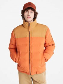 Куртки та дублянки Timberland Acolchoado Welch Mountain модель TB0A22XBDA1 Фото