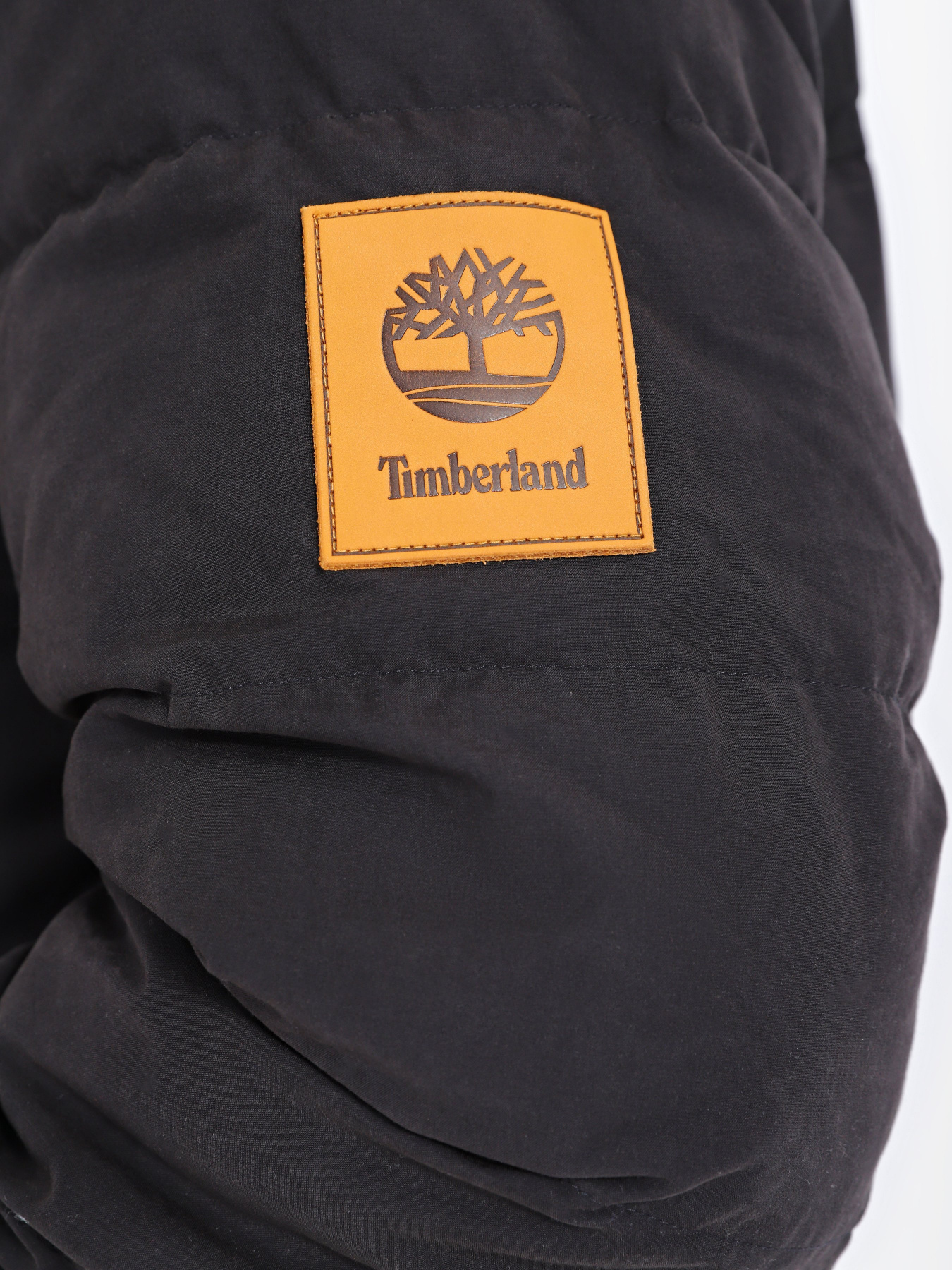 Куртки та дублянки Timberland WELCH MOUNTAIN модель TB0A5XTN001 Фото