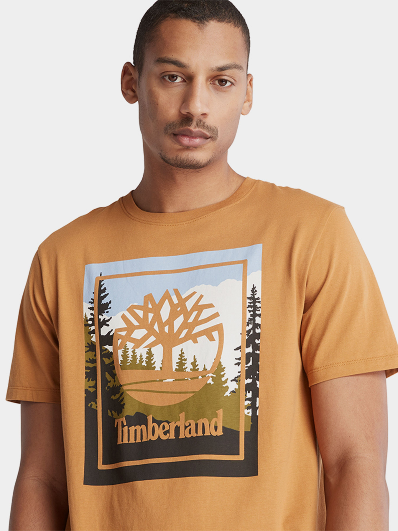 Футболки и поло Timberland SS OUTDOOR INSPIRED GRAPHIC модель TB0A6F4KP47 Фото