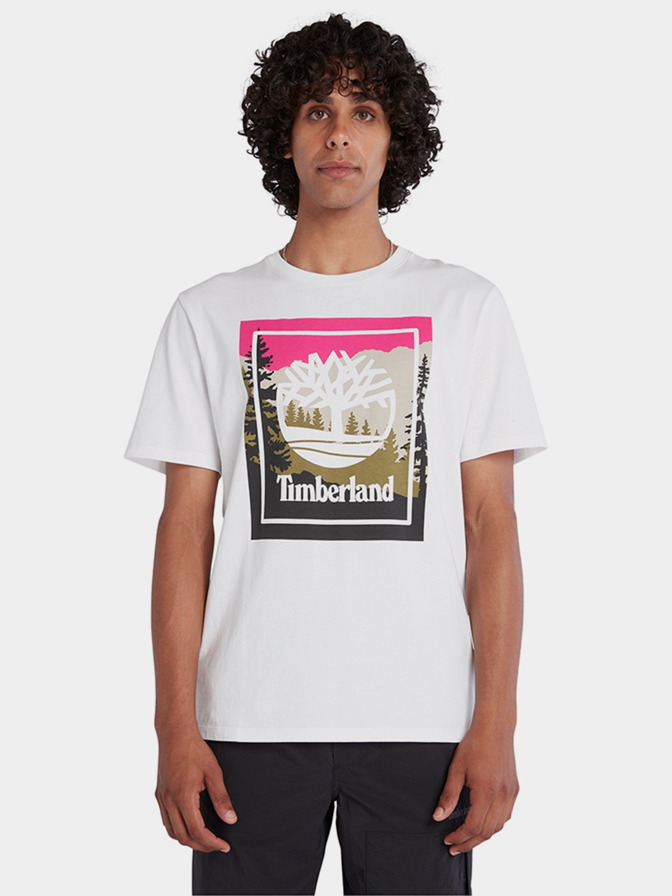 Футболки і поло Timberland SS OUTDOOR INSPIRED GRAPHIC модель TB0A6F4K100 Футболки і поло Timberland SS OUTDOOR INSPIRED GRAPHIC модель TB0A6F4K100 Фото