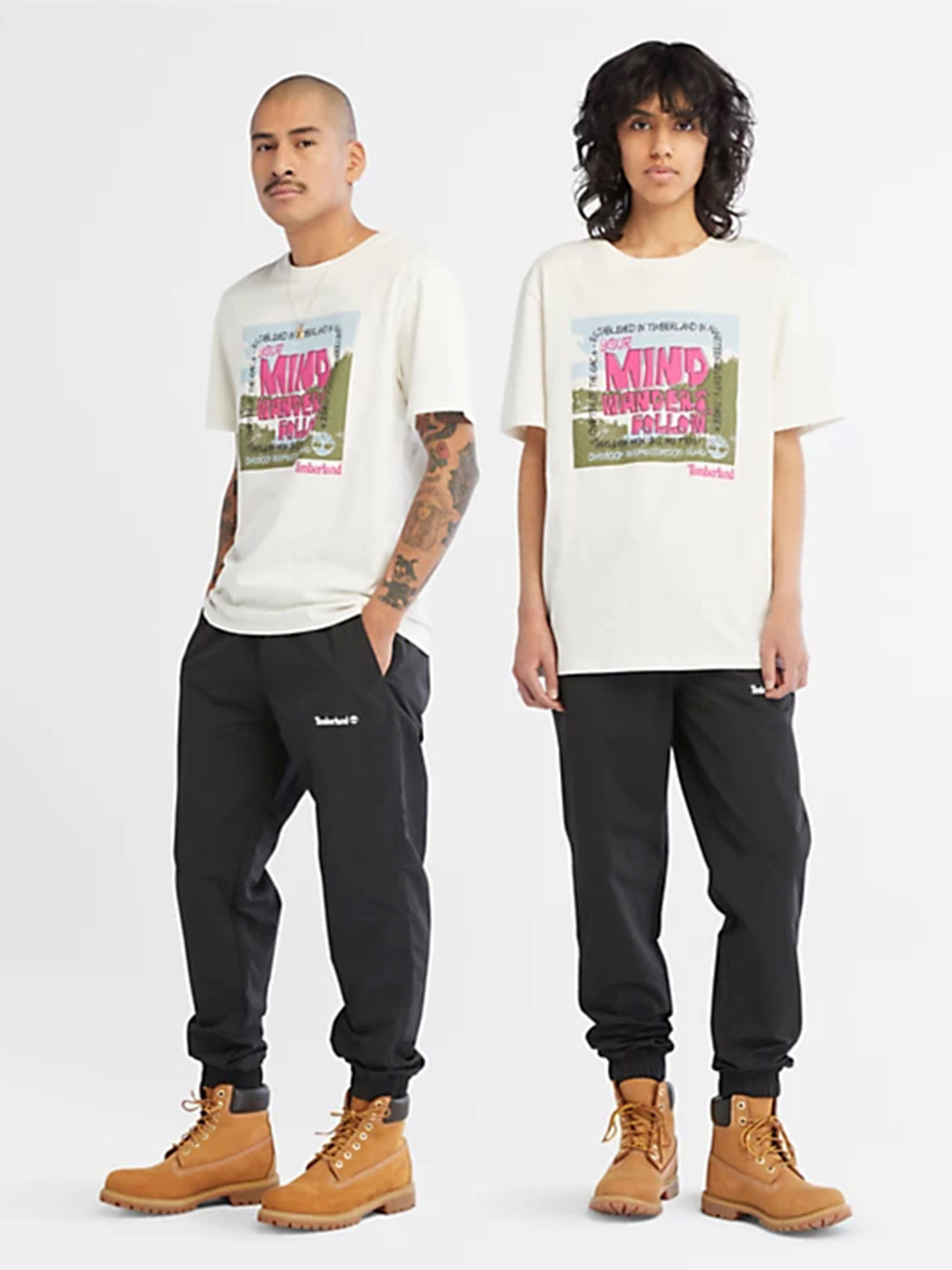 Футболки і поло Timberland All Gender Outdoor Graphic модель TB0A68NECM9 Футболки і поло Timberland All Gender Outdoor Graphic модель TB0A68NECM9 Фото