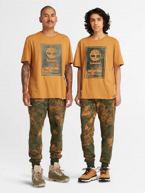 Футболки і поло Timberland Printed Logo модель TB0A66X1P47 Фото