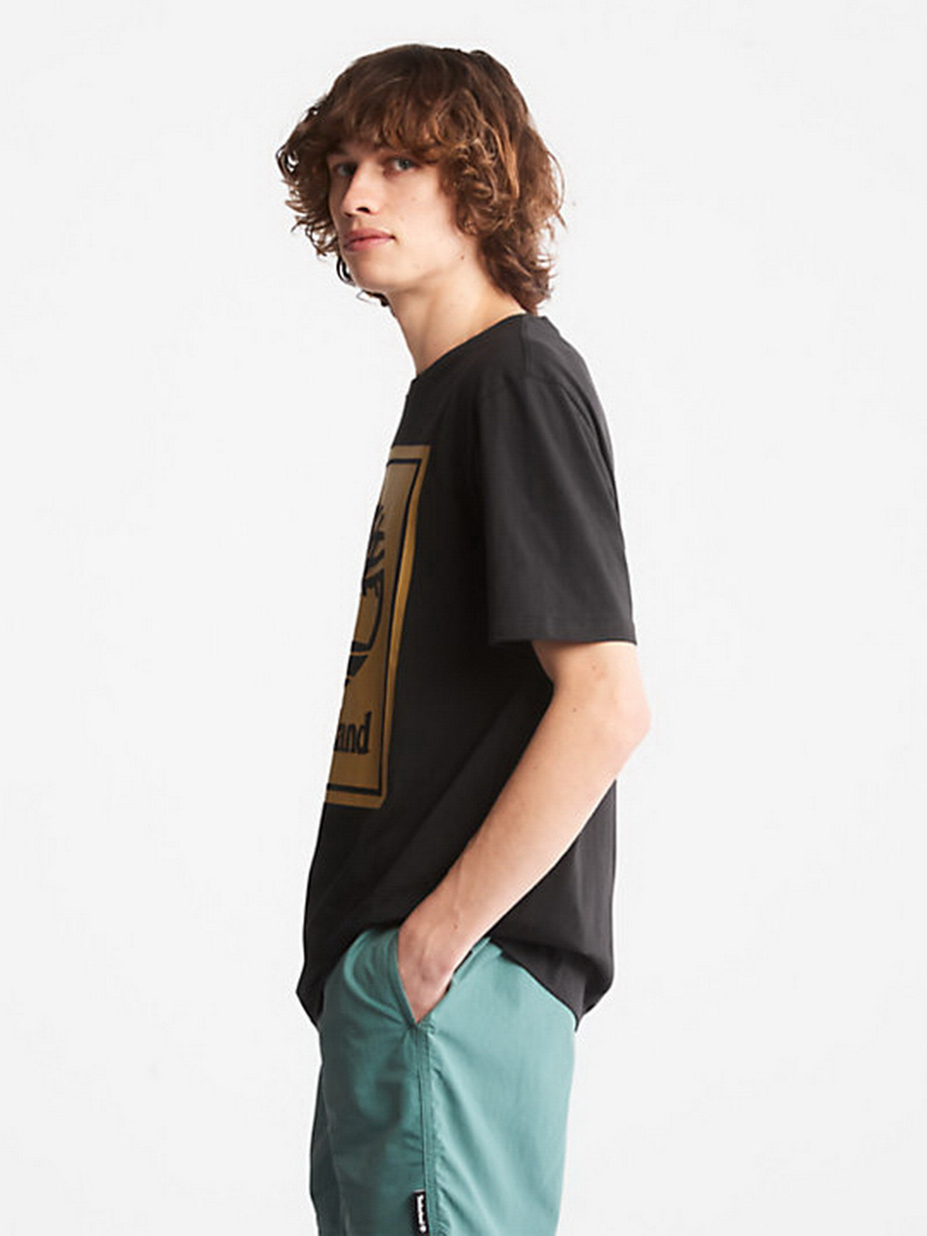 Футболки і поло Timberland Front Stack Logo модель TB0A6CBTP56 Фото