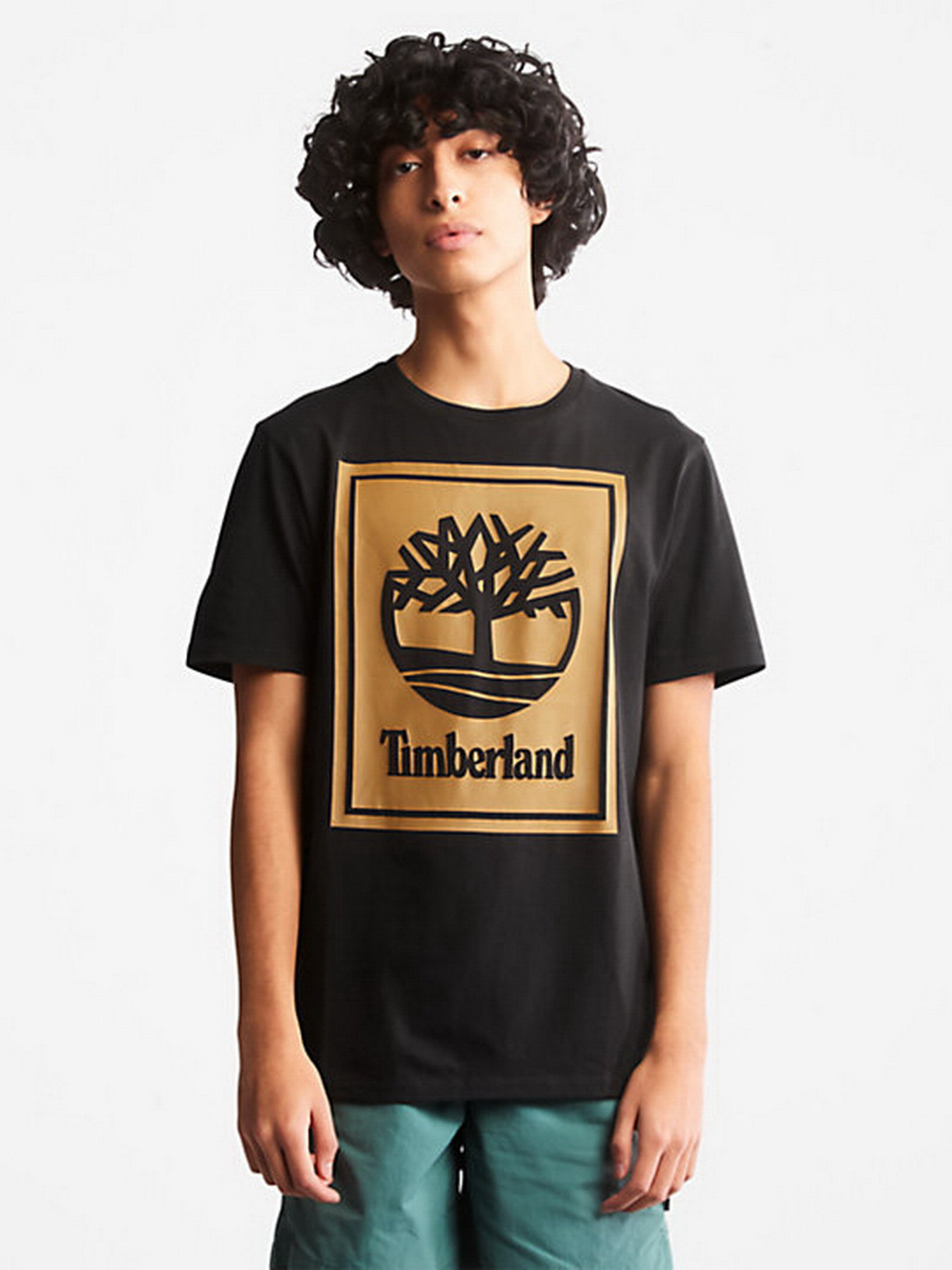 Футболки і поло Timberland Front Stack Logo модель TB0A6CBTP56 Фото
