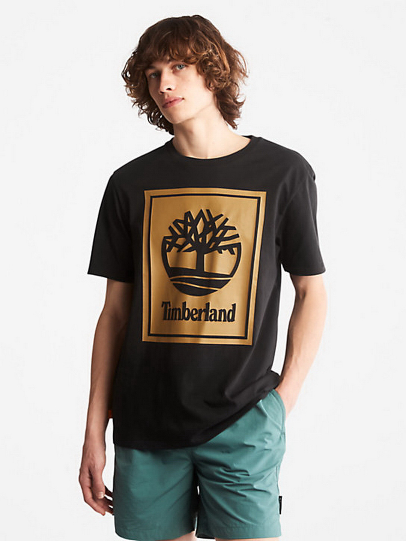 Футболки і поло Timberland Front Stack Logo модель TB0A6CBTP56 Фото