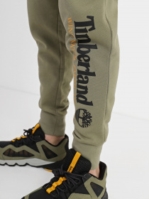 Брюки Timberland WWES модель TB0A27HY590 Фото