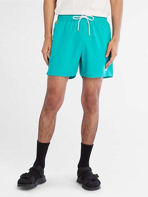 Одежда для пляжа Timberland Sunapee Lake Solid Swimshort модель TB0A2DH7E34 Фото