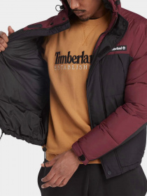 Куртки та дублянки Timberland Outdoor Archive модель TB0A6S41DX6 Фото