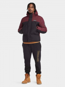 Куртки та дублянки Timberland Outdoor Archive модель TB0A6S41DX6 Фото