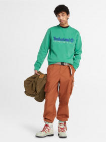 Худі та світшоти Timberland Est. 1973 Logo Crew модель TB0A65DDED3 Фото
