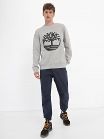 Штани Timberland DWR модель TB0A6NBP433 Фото