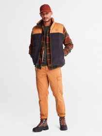 Куртки и дубленки Timberland Welch Mountain Puffer модель TB0A22XMP57 Фото