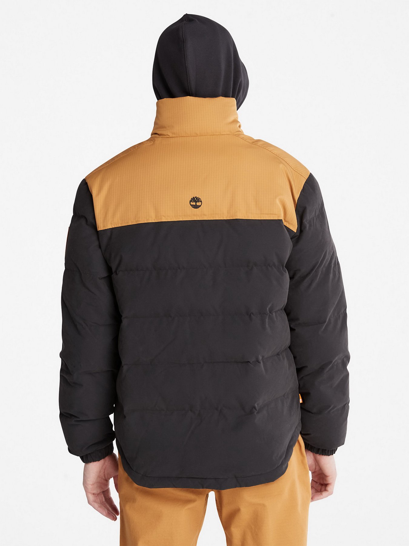 Куртки и дубленки Timberland Scar Ridge модель TB0A22XBP57 Фото