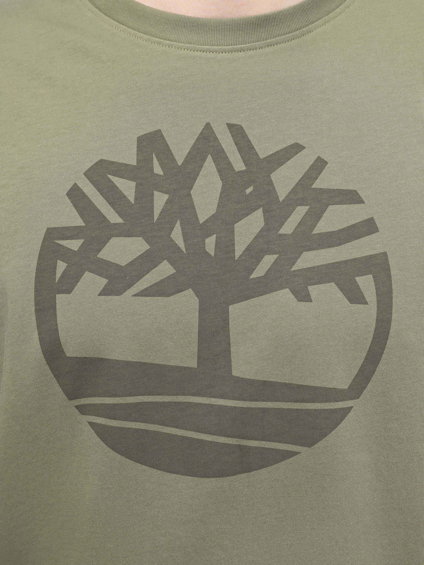 Футболки и поло Timberland Kennebec River Tree Logo модель TB0A2C2RAP6 Футболки и поло Timberland Kennebec River Tree Logo модель TB0A2C2RAP6 Фото
