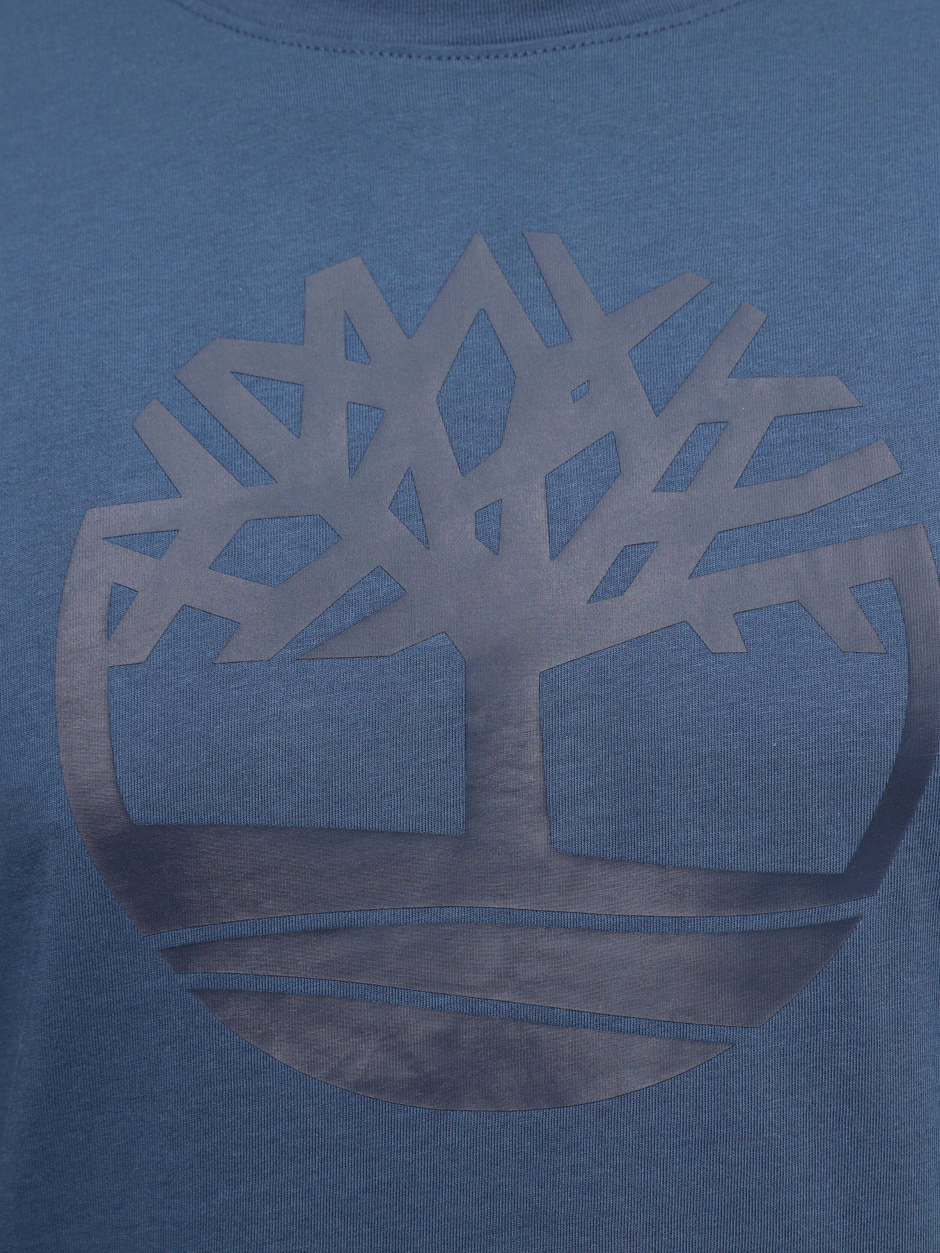Футболки и поло Timberland Kennebec River Tree Logo модель TB0A2C2RS74 Футболки и поло Timberland Kennebec River Tree Logo модель TB0A2C2RS74 Фото