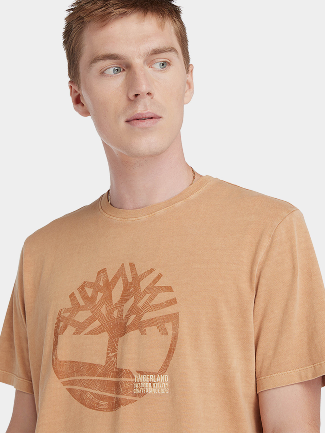 Футболки і поло Timberland Garment Dye Logo модель TB0A5UEKP47 Фото