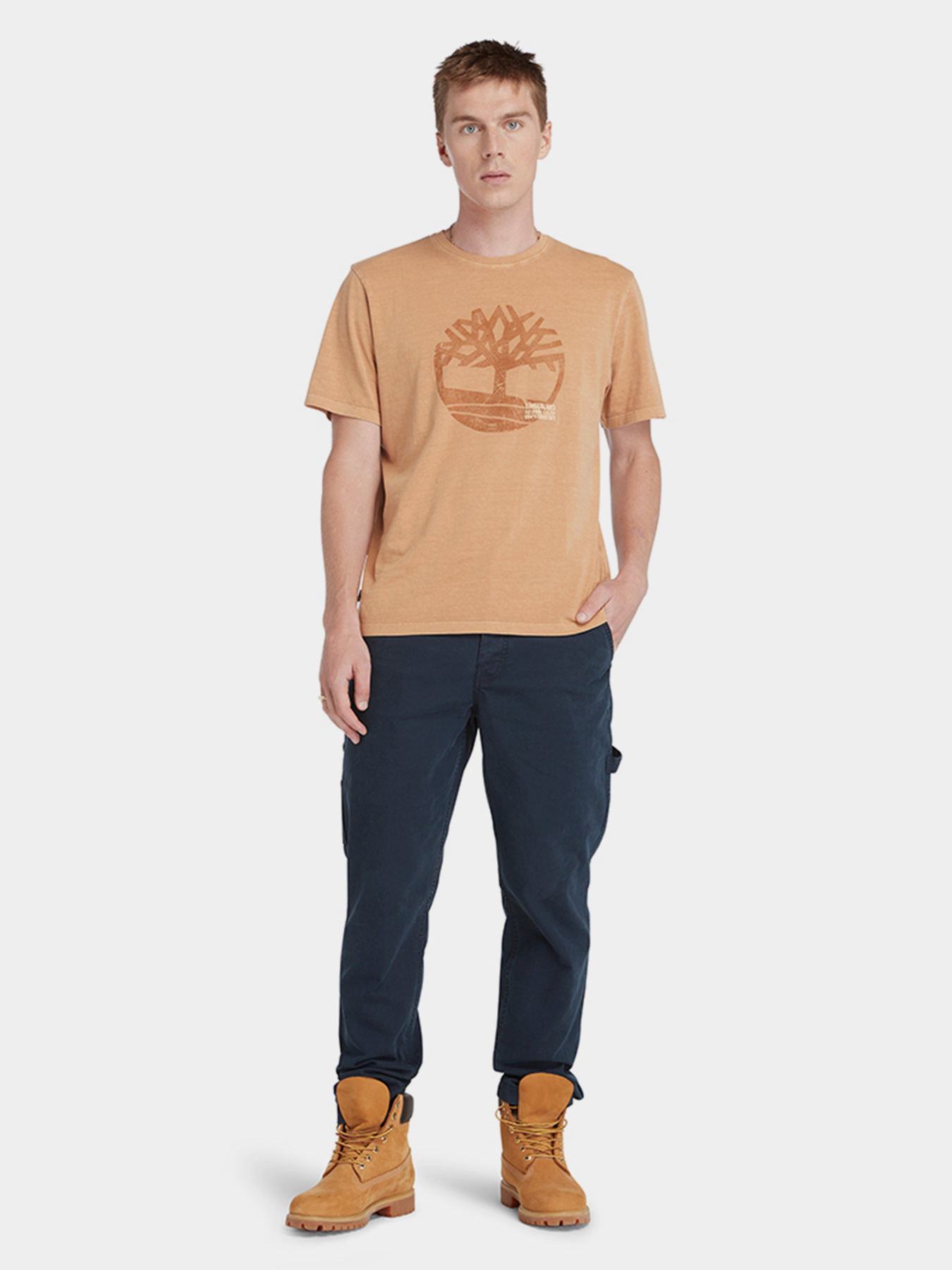 Футболки і поло Timberland Garment Dye Logo модель TB0A5UEKP47 Фото