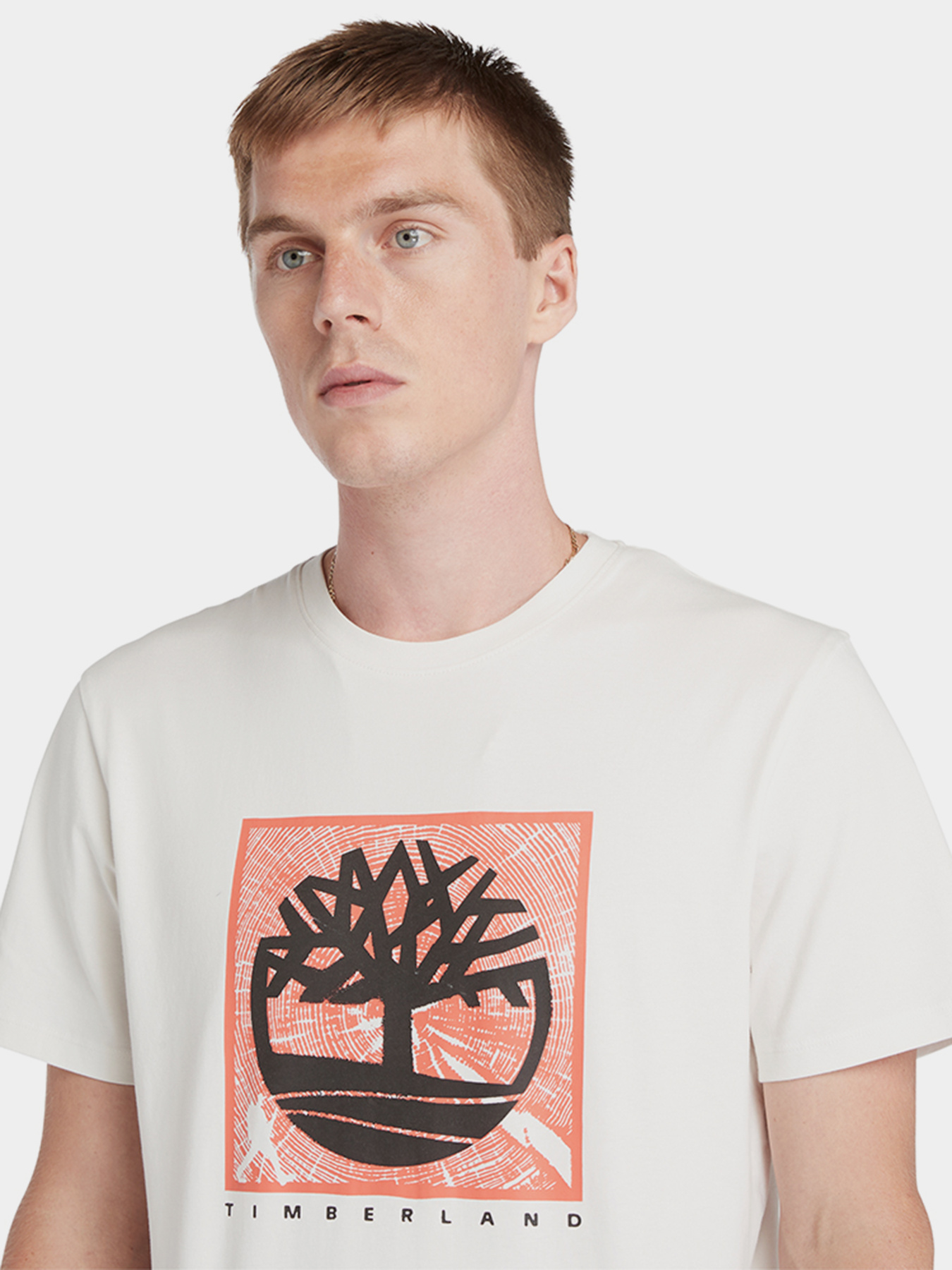 Футболки и поло Timberland Front Graphic модель TB0A5UDBCM9 Футболки и поло Timberland Front Graphic модель TB0A5UDBCM9 Фото