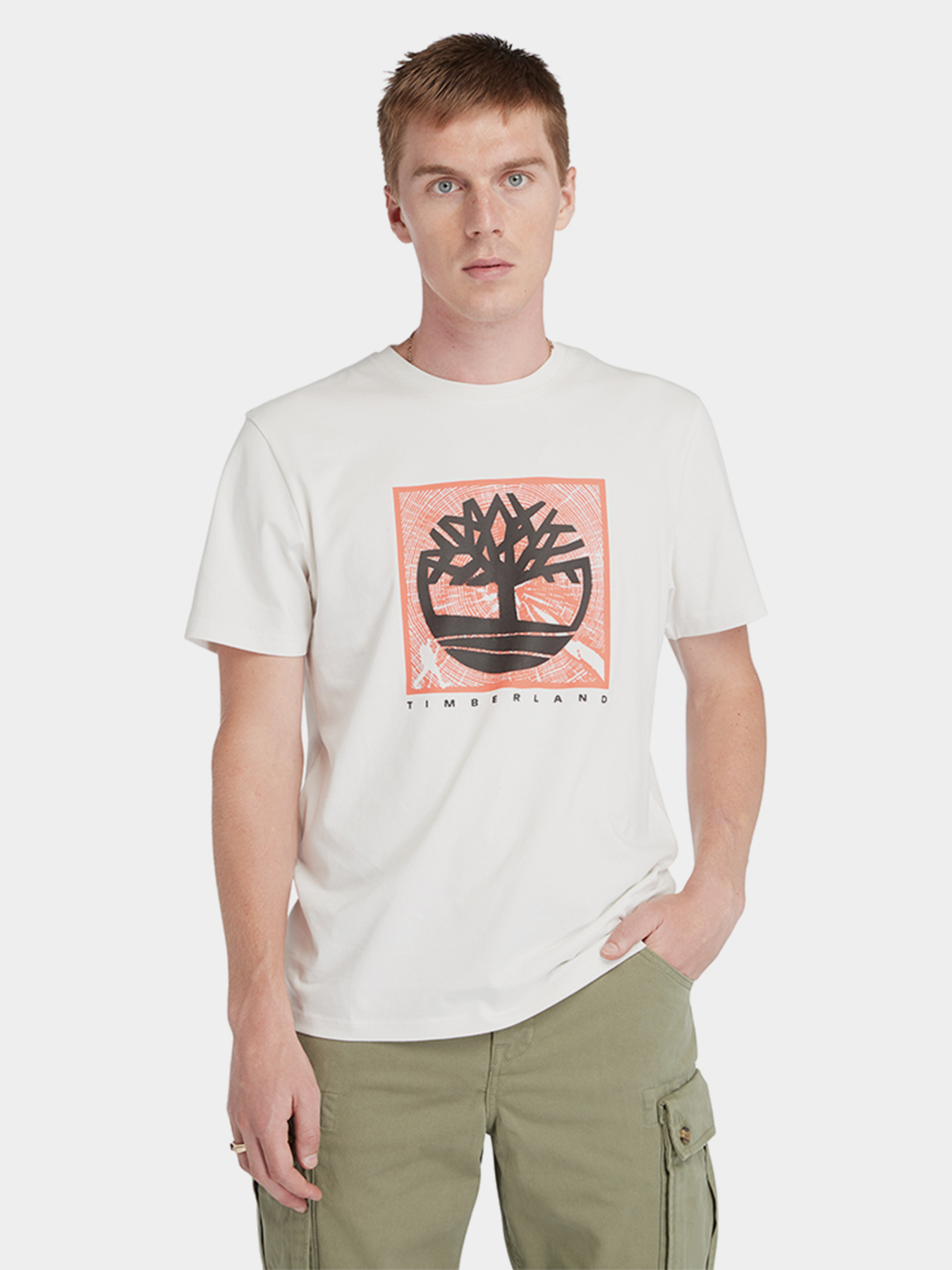 Футболки и поло Timberland Front Graphic модель TB0A5UDBCM9 Футболки и поло Timberland Front Graphic модель TB0A5UDBCM9 Фото
