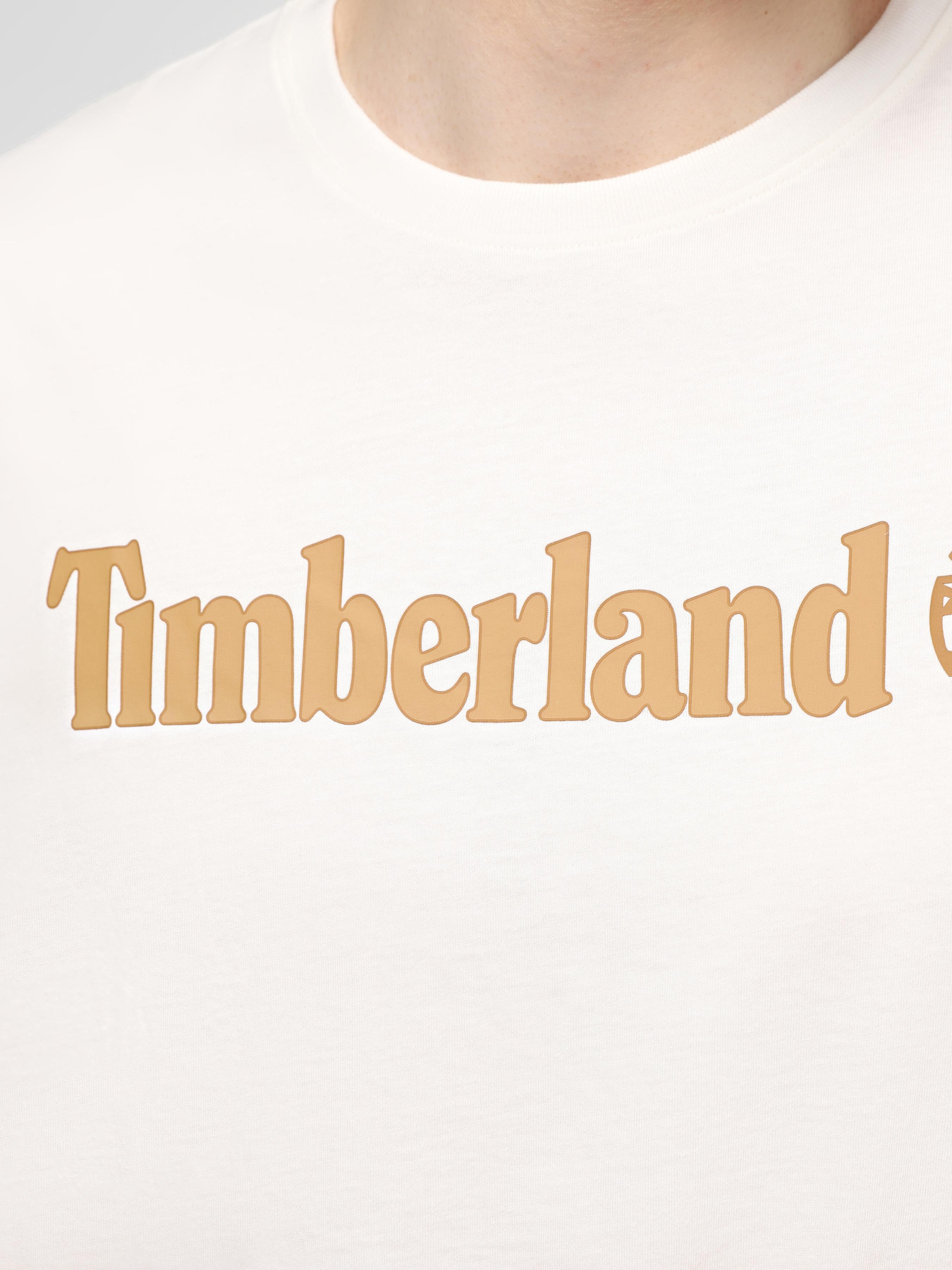 Футболки и поло Timberland Linear Logo модель TB0A5UPQCM9 Фото