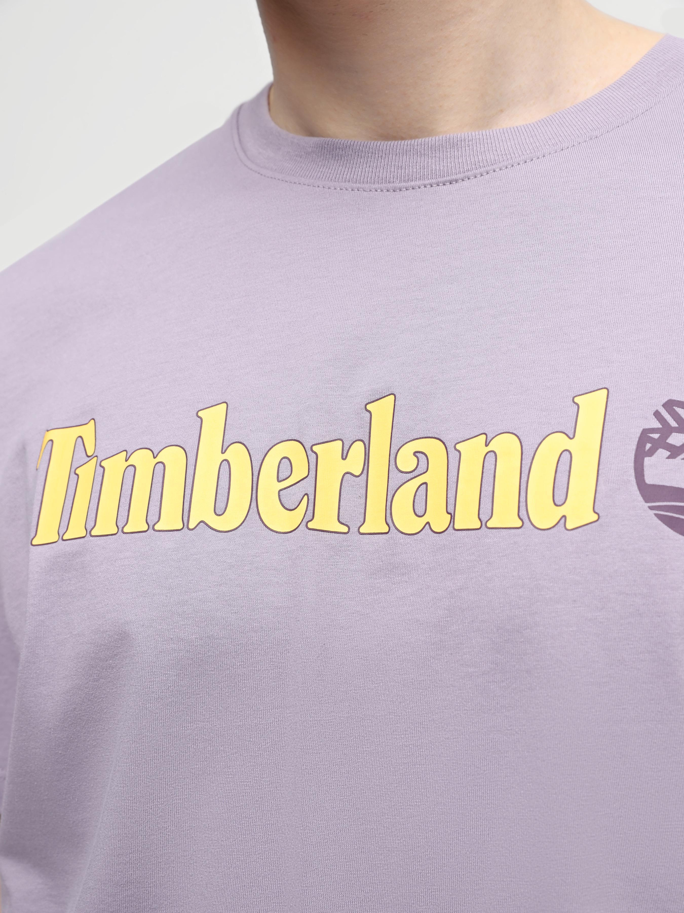 Футболки и поло Timberland Linear Logo модель TB0A5UPQEG7 Футболки и поло Timberland Linear Logo модель TB0A5UPQEG7 Фото
