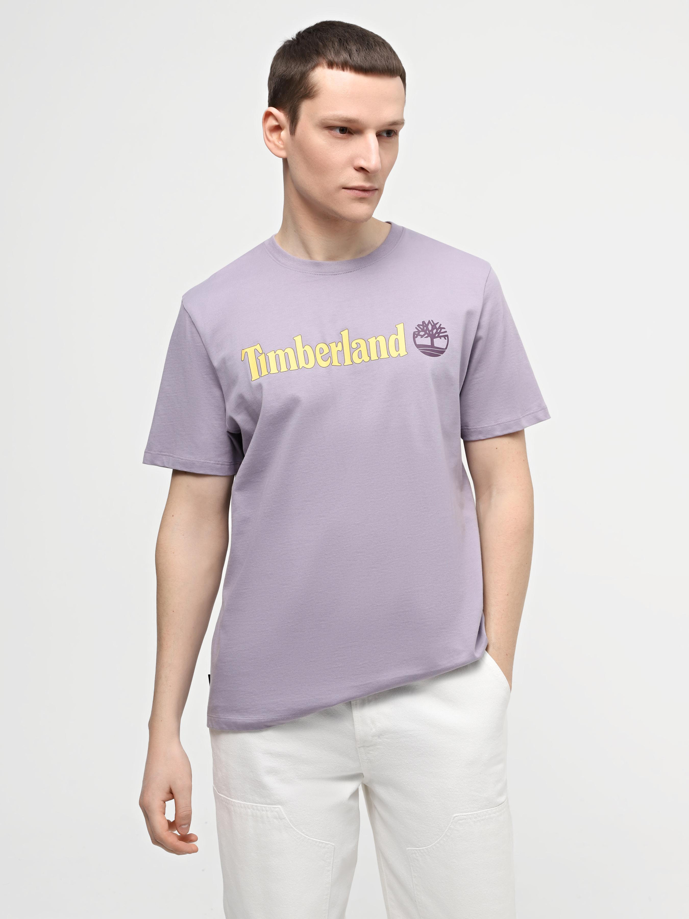 Футболки и поло Timberland Linear Logo модель TB0A5UPQEG7 Футболки и поло Timberland Linear Logo модель TB0A5UPQEG7 Фото
