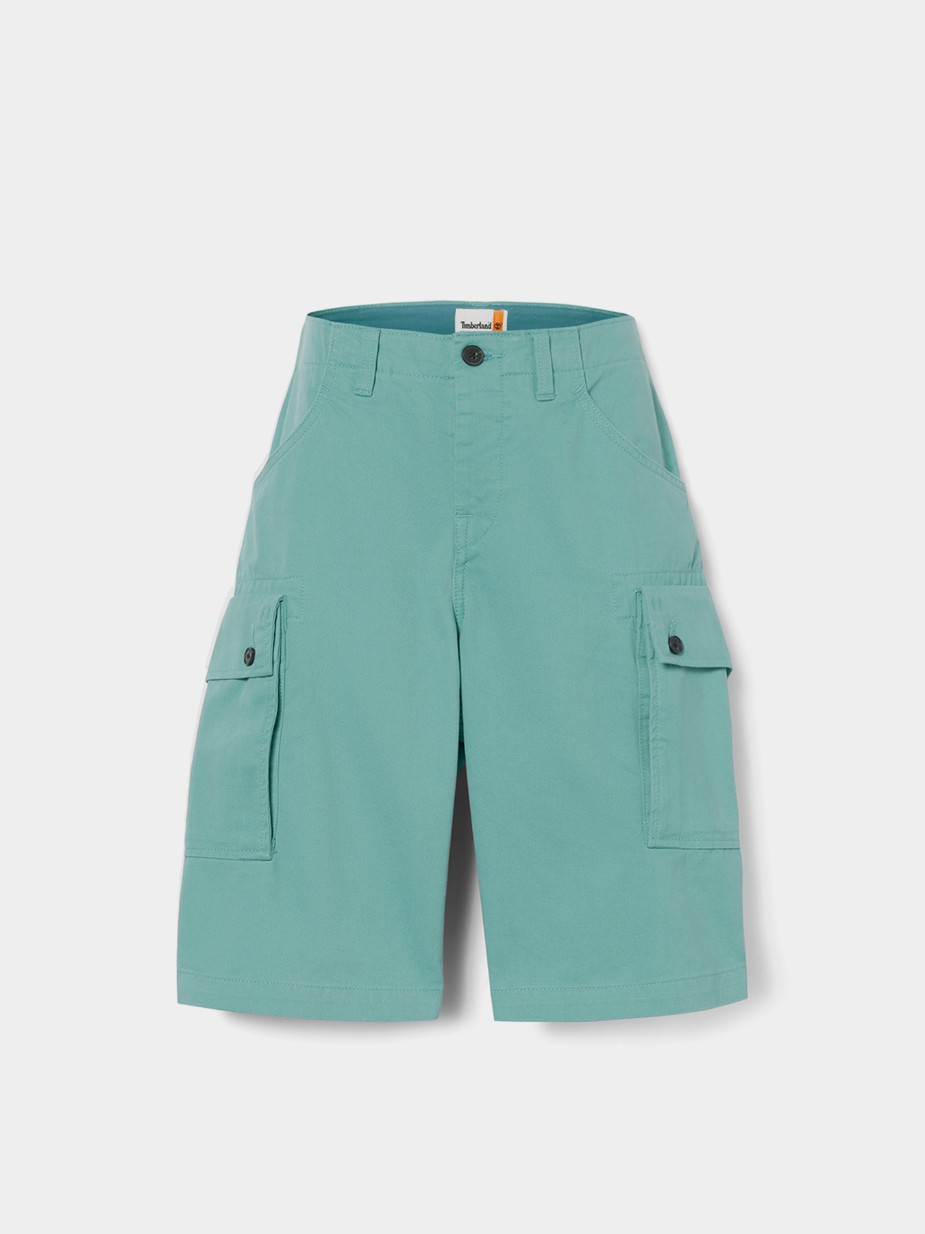 Шорты Timberland Twill Cargo модель TB0A5U1BCL6 Фото