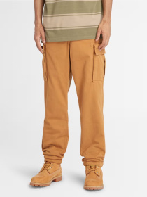 Брюки Timberland Brookline Twill модель TB0A5TVYP47 Фото
