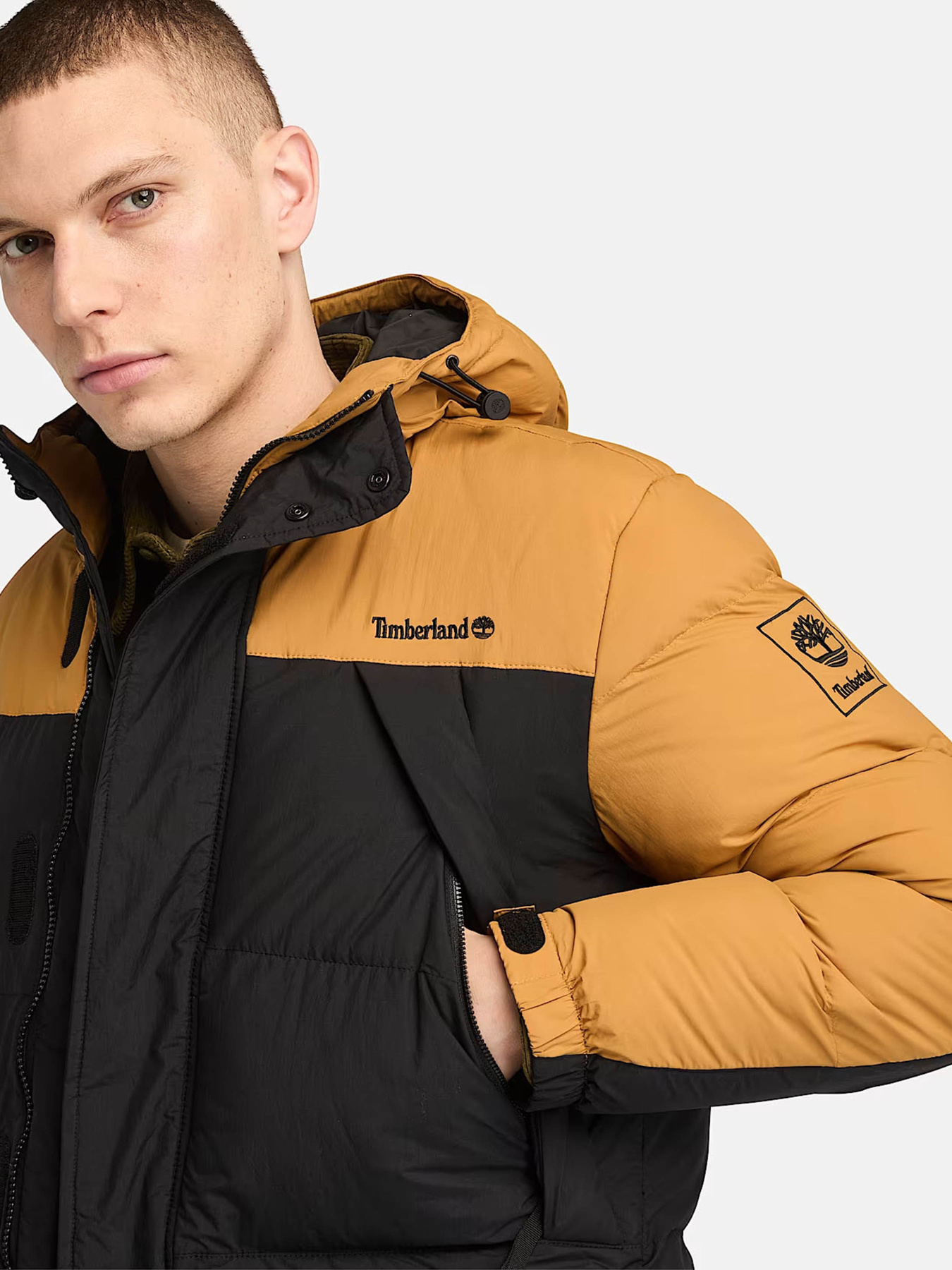 Куртки та дублянки Timberland Durable Water-Repellent модель TB0A6267P57 Куртки та дублянки Timberland Durable Water-Repellent модель TB0A6267P57 Фото