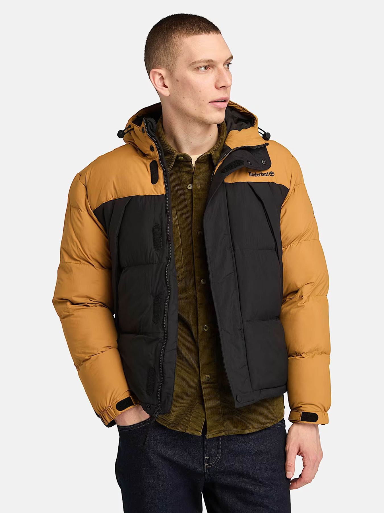 Куртки та дублянки Timberland Durable Water-Repellent модель TB0A6267P57 Куртки та дублянки Timberland Durable Water-Repellent модель TB0A6267P57 Фото