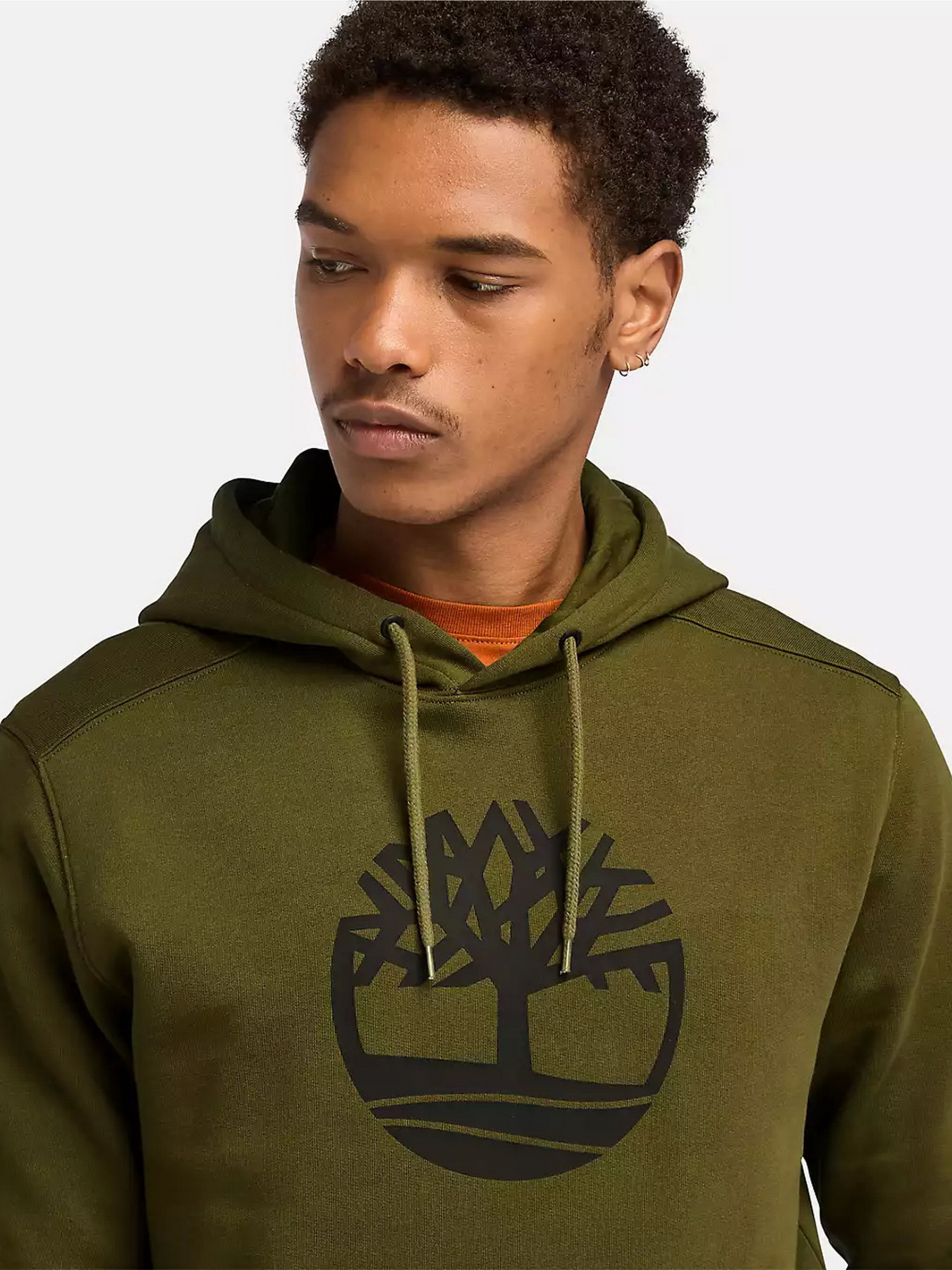 Худи и свитшоты Timberland Kennebec River Tree Logo модель TB0A2BJH302 Фото
