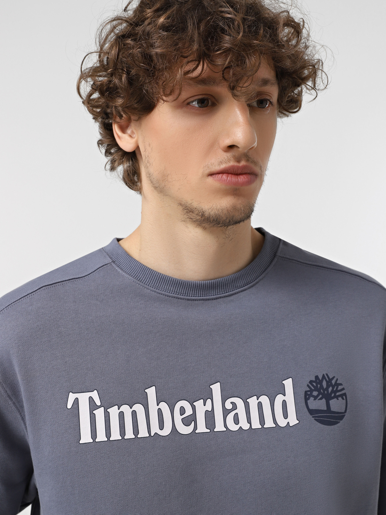 Худі та світшоти Timberland Linear Logo Crew Neck модель TB0A5UJY073 Фото