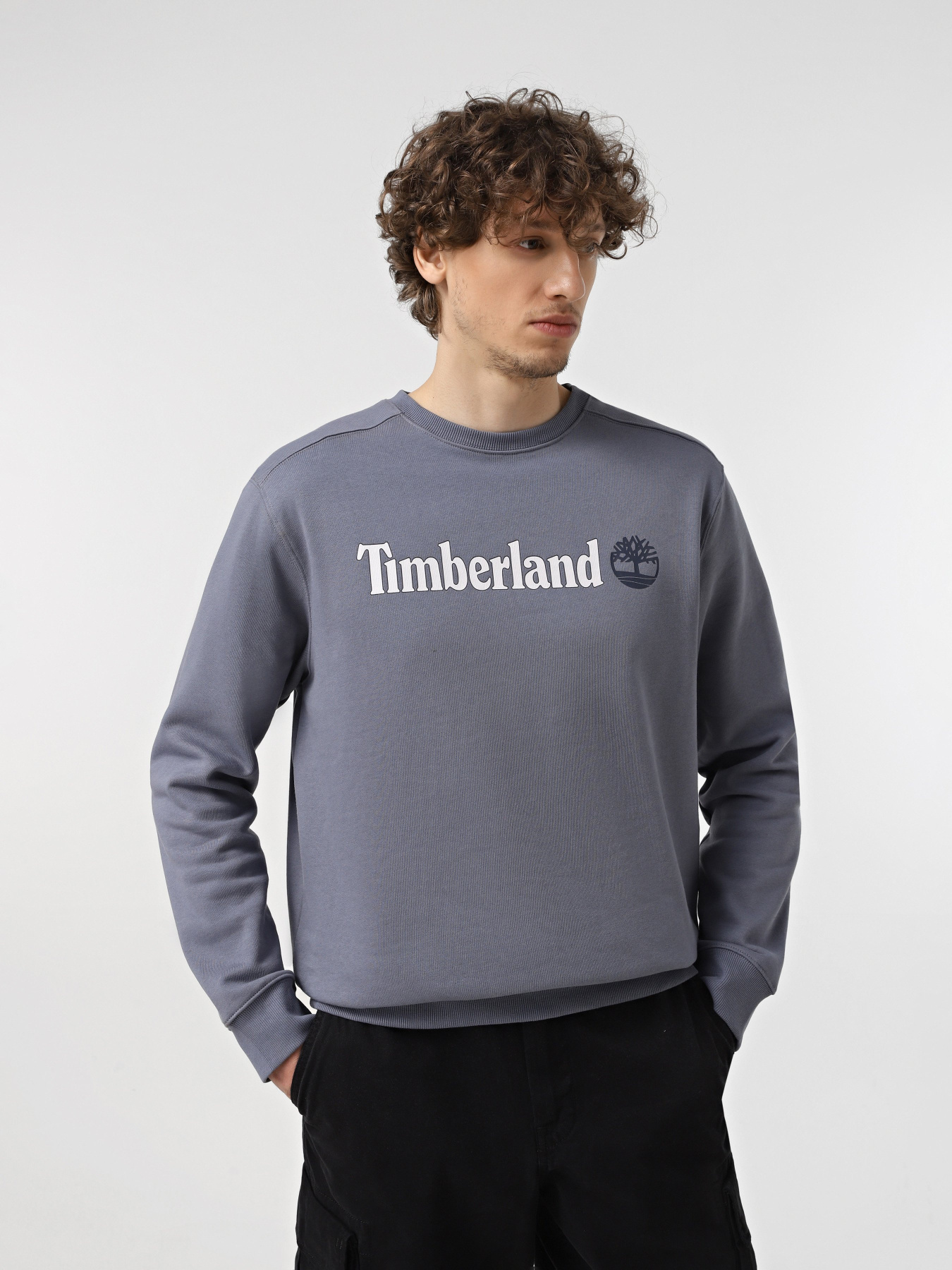 Худі та світшоти Timberland Linear Logo Crew Neck модель TB0A5UJY073 Фото
