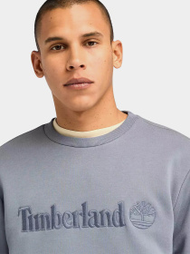 Худи и свитшоты Timberland Hampthon Crew Neck модель TB0A6VG6073 Фото